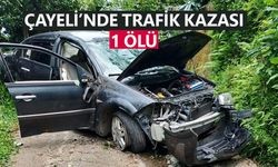 Çayeli’nde feci kaza: 1 kişi hayatını kaybetti, 3 yaralı