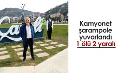 Çayeli'nde kamyonet şarampole yuvarlandı, 1 ölü 2 yaralı