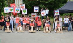 Rize'deki festivalde 12 ülkeden katılımcılar tahta arabalarla yarıştı