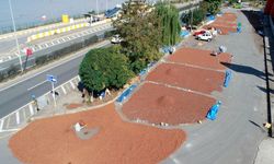 Sahil yolu kenarında fındık kurutma mesaisi