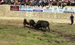 Yusufeli'de Salikvan Yayla Festivali yapıldı