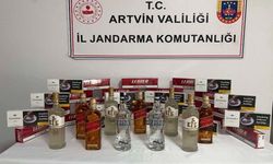 Artvin'de kaçakçılık operasyonlarında 10 şüpheli hakkında işlem yapıldı