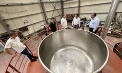 Kelkit şeker fasulyesi için dünya rekoru denemesi