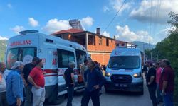 Ordu'da tarım aracının devrildiği kazada 3 kişi yaralandı