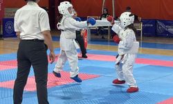 Gümüşhane'de karate turnuvası düzenlendi