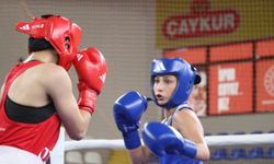 Rize'deki Yeşilay 23 Yaş Altı Türkiye Ferdi Boks Şampiyonası sona erdi