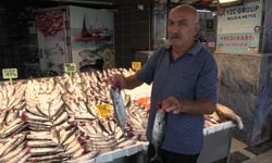 Av yasağı sona eriyor; Karadeniz'de balıkçılar palamuttan umutlu