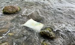 Karadeniz'de kıyıya vuran konteynerde inceleme
