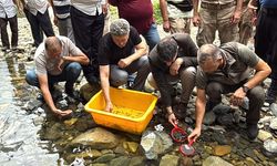 Rize'de derelere 25 bin kırmızı benekli alabalık salındı