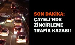 Çayeli’nde Karadeniz Sahil Yolu’nda Zincirleme Kaza