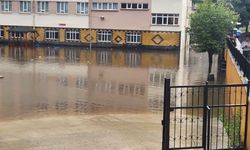 Çayeli'nde sağanak yağış etkili oldu