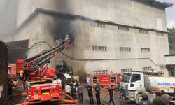 Rize’nin Çayeli ilçesinde çay fabrikasında yangın meydana geldi