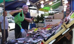 Rize'de de tezgahlar palamutla doldu