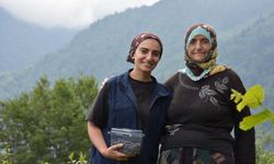 Babasının 1300 rakımdaki likarba bahçesini gelir kapısına dönüştürdü