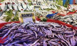 Karadeniz'de bereketli geçen balık avı tezgahları hareketlendirdi