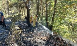 Ordu'da örtü yangını söndürüldü