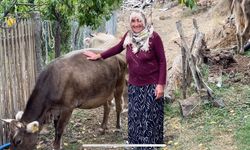 Yaylada doğal yaşamı sürdüren çiftten gençlere çağrı