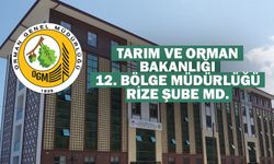 Gindeş Şelalesi Tabiat Anıtı Gelişme Planı