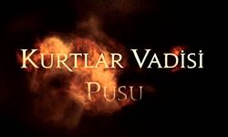 'Kurtlar Vadisi Pusu' dizisi hakkında inceleme başlatıldı