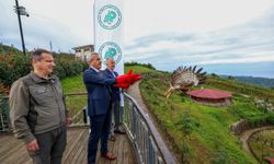 Rize'de tedavisi tamamlanan arı şahinleri çip takılarak doğaya salındı