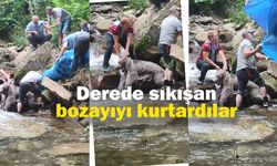 Derede kayalıklar arasına sıkışan bozayıyı mahalleli kurtardı; o anlar kamerada
