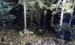Bolu'da cip uçuruma yuvarlandı: 4 yaralı