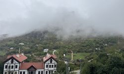 Gümüşhane'de sis etkili oldu