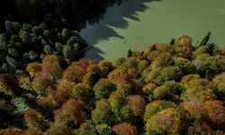 Artvin'deki Borçka Karagöl Tabiat Parkı sonbahar renklerine büründü