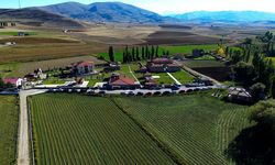 Bayburt'un köyünden Avrupa'ya uzanan müzecilik başarısı