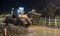 Çayeli'nde sağanak etkili oldu