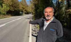 Bartın'da ağaç tünel yol, doğası ve manzarasıyla ilgi görüyor