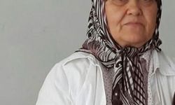 Demans hastası kadın dere kenarında ölü bulundu