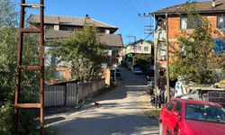 Kestane toplamak için gittiği ormanda öldü