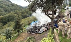 Ordu'da 2 müstakil ev yandı