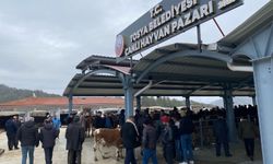 Tosya'da Hayvan Pazarı Şap nedeniyle kapatıldı