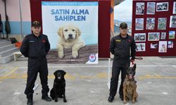 Trabzon'da Büyükşehir'den hayvan sevgisi için renkli etkinlik