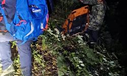 Uçuruma yuvarlanan kamyonetin sürücüsü öldü, 2 çocuğu yaralandı