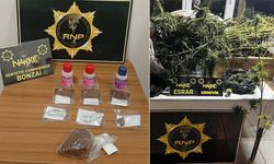 Rize’de Narkotik Operasyonları: 31 Şüpheliye İşlem, 3 Tutuklama