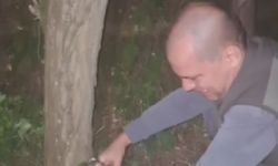 Kaçak bıldırcın avında kullanılan 4 ses düzeneği ele geçirildi