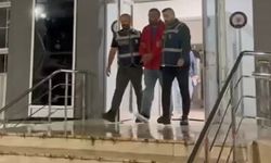 Trabzon'da 12 yıl önce kaybolan 2 kişi, öldürülüp ormana gömülmüş