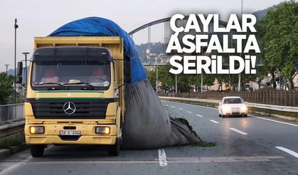 Çayeli’nde seyir halindeki yaş çay kamyonunu görenler şaşırdı!