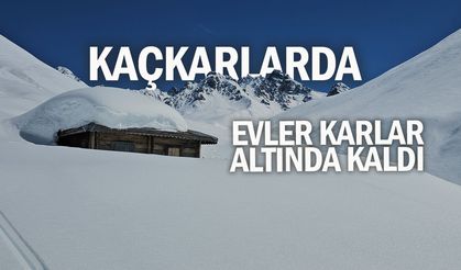 Rize'de karlar altında kalan yayla evleri havadan görüntülendi