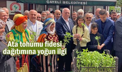 Ata Tohumu Fideleri Çayeli’nde Vatandaşlara Dağıtıldı