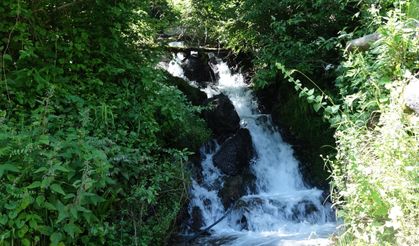 Çaykara'da dağların arasında 3 asırlık yaşam pınarı; saniyede 120 litre akıyor