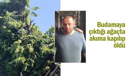 Budamaya çıktığı ağaçta akıma kapılıp öldü
