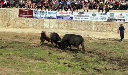 Yusufeli'de Salikvan Yayla Festivali yapıldı