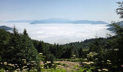 Artvin'de sis bulutu dronla görüntülendi