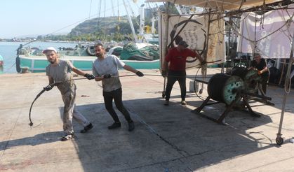 Balıkçılar yeni sezona hazır: Palamut bol, tüketim az
