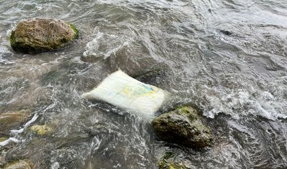 Karadeniz'de kıyıya vuran konteynerde inceleme