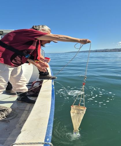 COP31 öncesi öğrencilerden Karadeniz'e yakın mercek